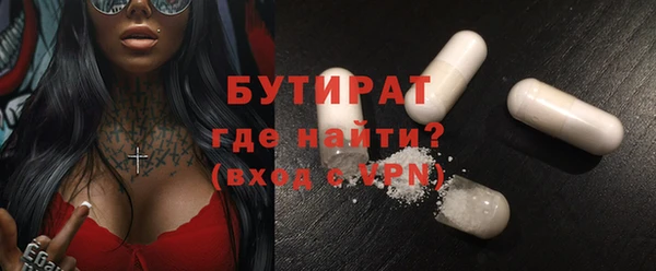 индика Бородино