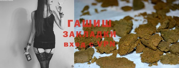 индика Бородино