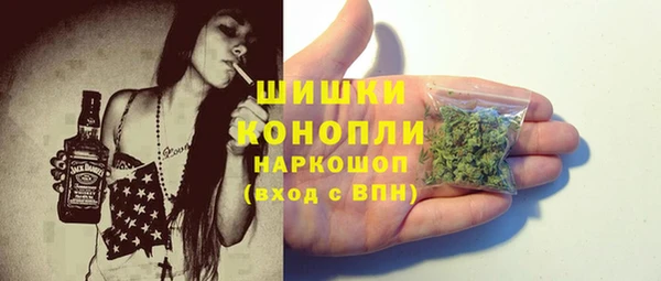 индика Бородино