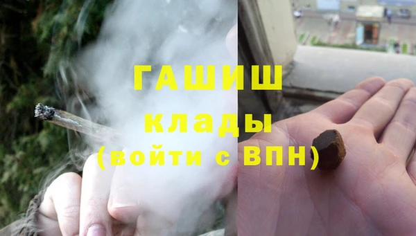 индика Бородино