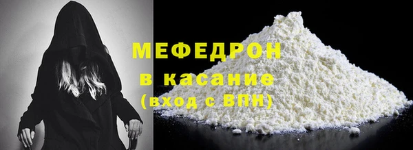 индика Бородино
