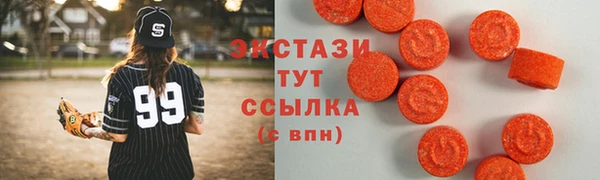 индика Бородино