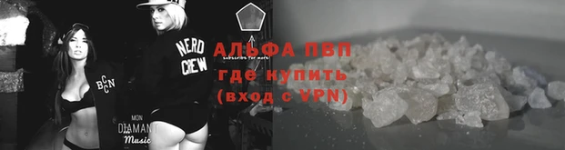 индика Бородино