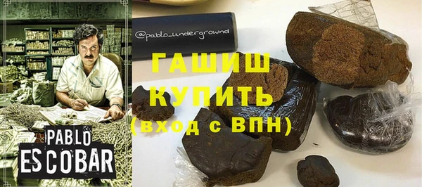 индика Бородино