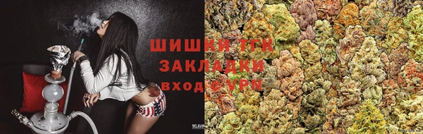 индика Бородино