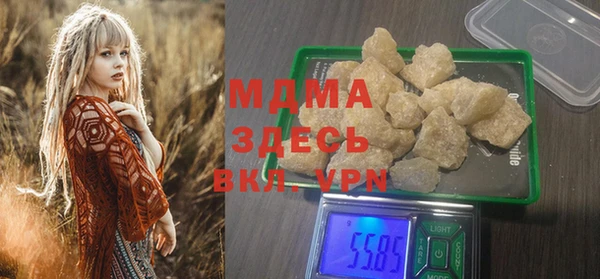 индика Бородино