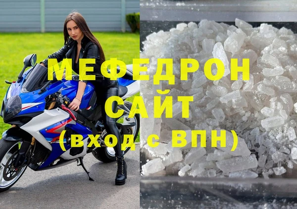 индика Бородино