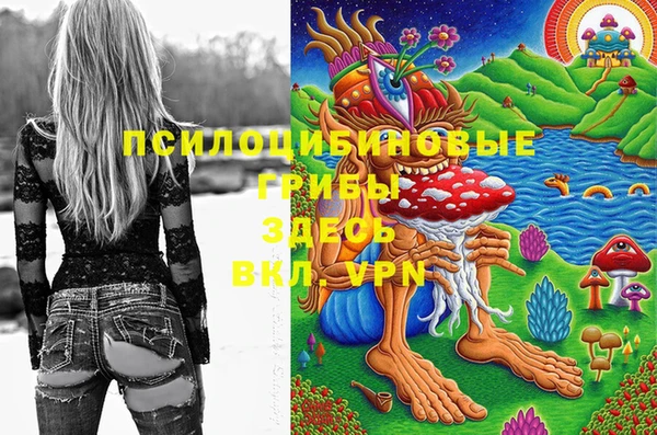 индика Бородино