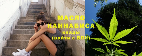 индика Бородино