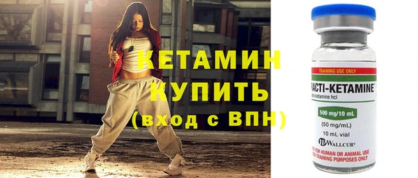 индика Бородино
