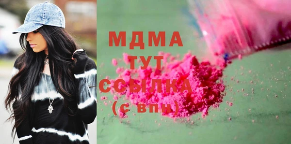 индика Бородино